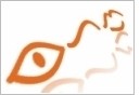 20 jaar ervaring in definitieve ontharing met laser. Permanente ontharing de definitieve aanpak